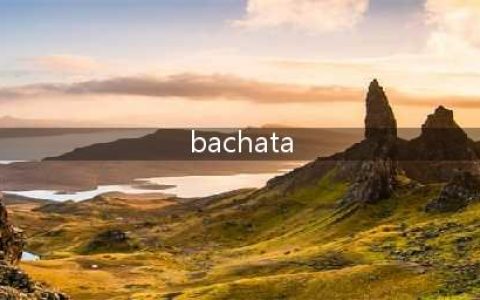 有一种缠绵入骨的舞蹈叫“Bachata”(bachata)
