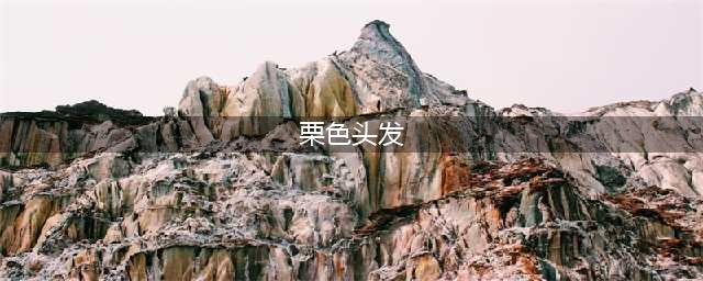 揭秘最佳的栗色头发色号选择(栗色头发)
