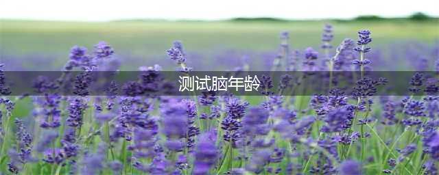 左右脑年龄测试(测试脑年龄)