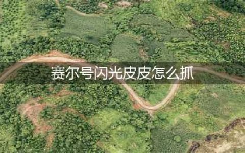 赛尔号闪光皮皮抓捕方法(赛尔号闪光皮皮怎么抓)