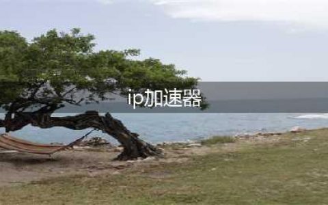 代理ip能加速器 - HTTPS代理服务商(ip加速器)