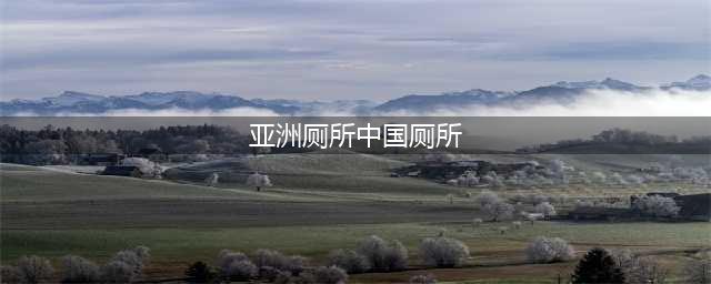老外分享亚洲如厕经历:被中国厕所肮脏程度吓坏(亚洲厕所中国厕所)