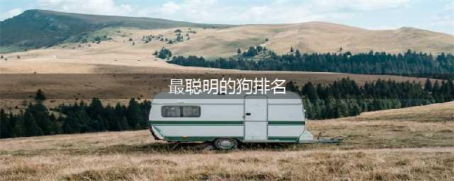 狗狗智商排行榜前十名，第一名智商相当于8岁小孩！(最聪明的狗排名)