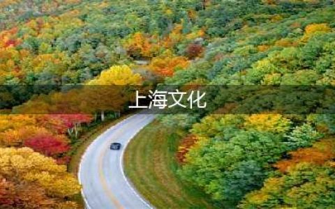“三种文化”怎样汇入上海文化(上海文化)