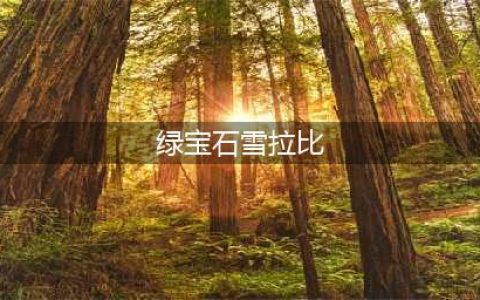 《口袋妖怪究极绿宝石》雪拉比位置全介绍 5.3雪拉比在哪里抓(绿宝石雪拉比)