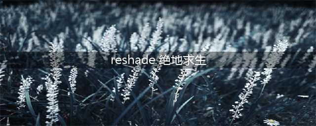 《绝地求生大逃杀》reshade安装与设置教程 怎么调画面颜色？(reshade 绝地求生)