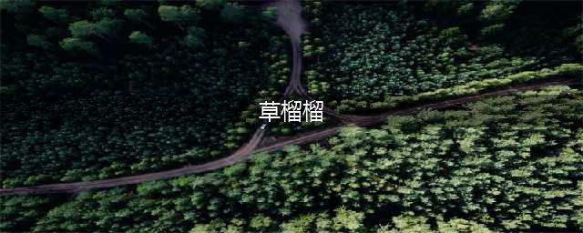 草榴关站风波：中国的色情恐慌症(草榴榴)