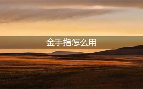 《口袋妖怪》金版金手指怎么使用 金手指使用技巧分享(金手指怎么用)