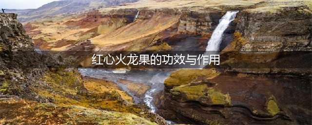 红心火龙果的功效与作用及禁忌(红心火龙果的功效与作用)