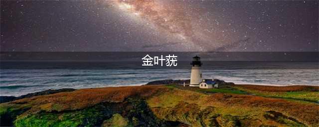 金叶莸的形态特征及图片！(金叶莸)