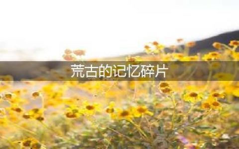 《DNF》荒古的记忆碎片有什么用 荒古的记忆碎片使用方法