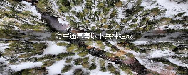 海军70周年：海军五大兵种都有哪些？(海军通常有以下兵种组成)