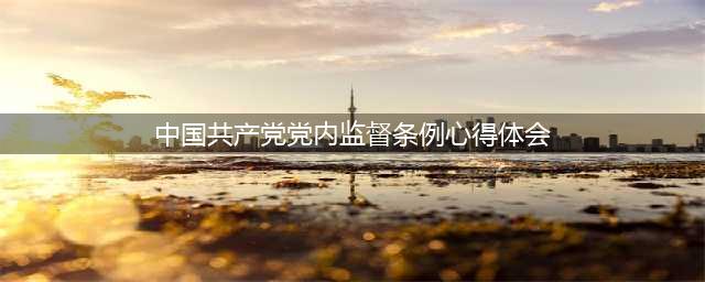 学习党内政治生活准则、党内监督条例心得体会(中国共产党党内监督条例心得体会)