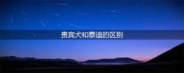 泰迪并非独立品种？细数“泰迪”与贵宾犬的本质区别！如何挑选真正的泰迪犬？(贵宾犬和泰迪的区别)
