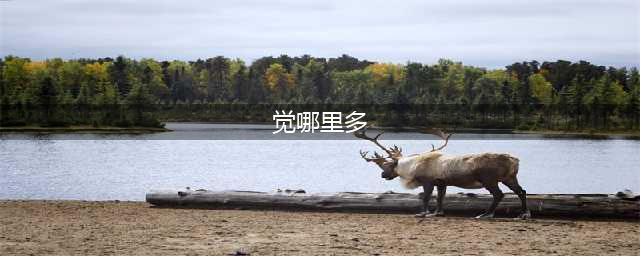 《阴阳师》觉哪里多 觉技能介绍 觉分布位置汇总(觉哪里多)