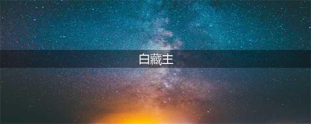 阴阳师白藏主御魂怎么搭配 白藏主御魂搭配推荐(白藏主)