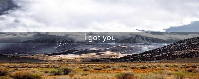 口语里常说的“I get you”和“I got you”有什么区别？(i got you)