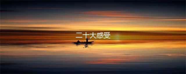 学习二十大心得体会(二十大感受)