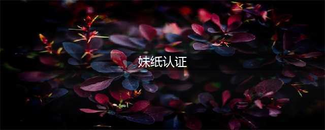 《DNF》助手粉名认证官方教程 粉名认证怎么弄