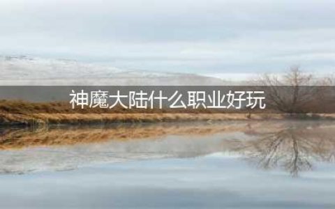 《新神魔大陆》哪个职业比较强 最强职业推荐(神魔大陆什么职业好玩)