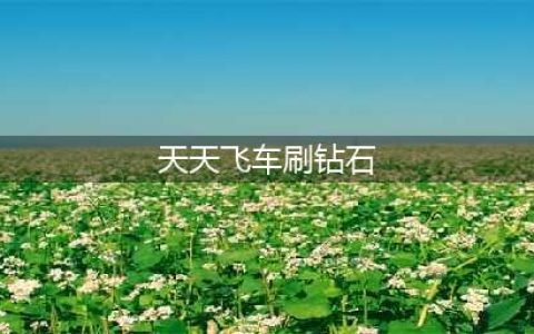 天天飞车4.28飞车夺宝刷钻石不异常教程(天天飞车刷钻石)