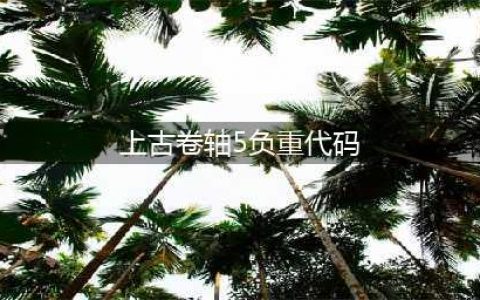 上古卷轴5负重上限代码是多少 上古卷轴5负重上限代码介绍