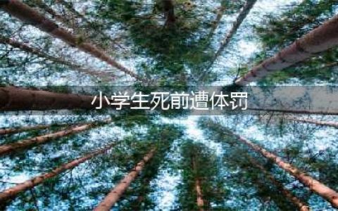 小学生死前遭体罚“呕出半碗血”：打手心和下跪，就能导致死亡？(小学生死前遭体罚)