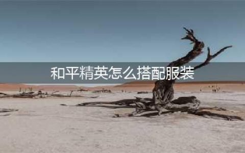和平精英服装怎么搭配 服装搭配教学