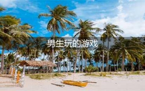 2021男生必玩的十部游戏推荐 最好玩十大男生必玩游戏排行(男生玩的游戏)
