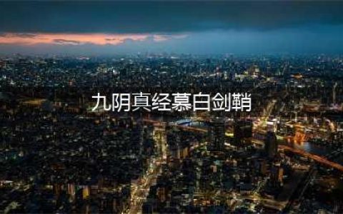 《九阴真经》四象剑鞘怎么样 四象剑鞘武器外观一览(九阴真经慕白剑鞘)