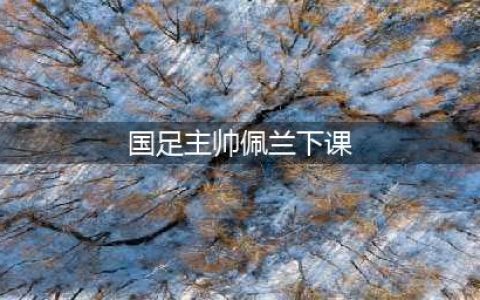 国足主帅佩兰“下课”！(国足主帅佩兰下课)