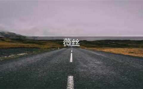 残暴的女人，薇丝（拳皇）介绍(薇丝)