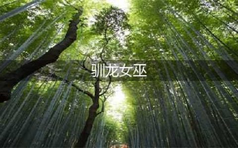 LOL驯龙女巫图标介绍 LOL驯龙女巫图标怎么得(驯龙女巫)