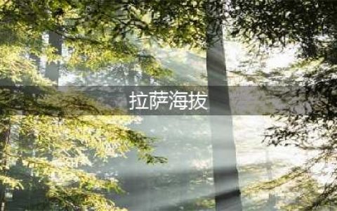 拉萨海拔高度是多少？看看你能适应这里的高原环境么(拉萨海拔)