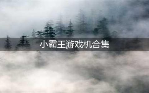 小霸王游戏机手机版合集下载2021安卓版 好玩的小霸王游戏合集推荐(小霸王游戏机合集)
