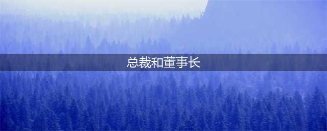 总裁、董事长、CEO有什么区别？哪个职位更高？(总裁和董事长)