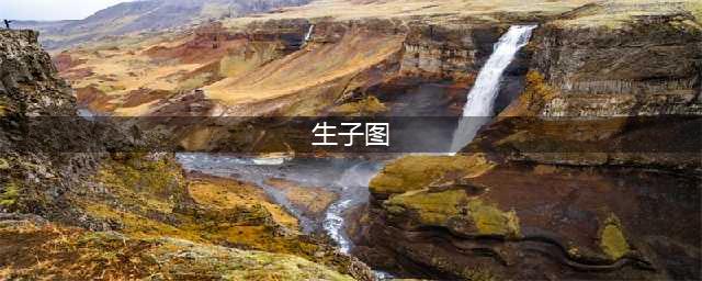 《鬼谷八荒》如何生小孩 生子图文教程(生子图)