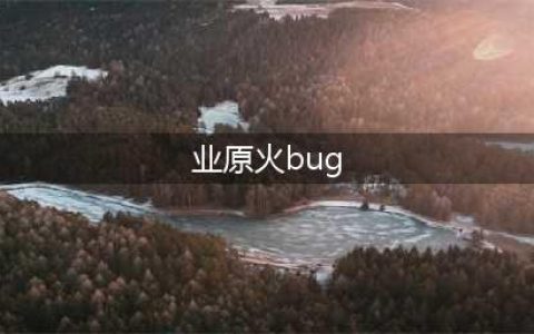 业原火bug第一人是谁