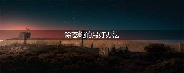 快速消灭家里飞舞的苍蝇，不妨试试以下几个小妙招(除苍蝇的最好办法)
