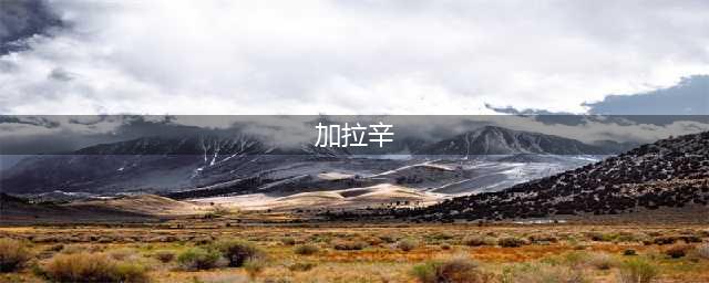 致---大型加拉辛玩家(加拉辛)